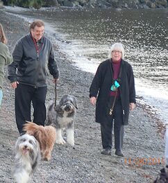 A man and a woman walking with a dog at a beach with two other dogs walking
